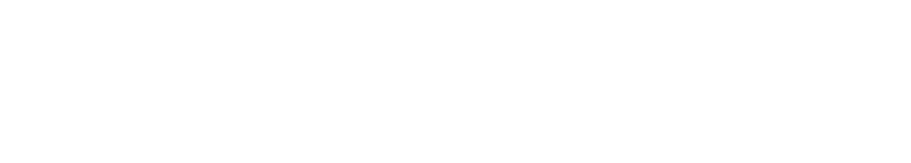 logo Burnside Law Firm LLP , 
